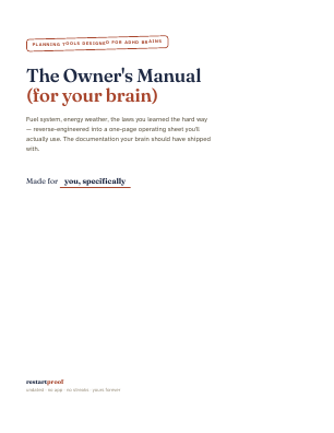Cover of The Owner’s Manual (for Your Brain)